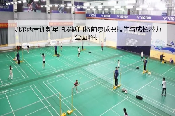 切尔西青训新星帕埃斯门将前景球探报告与成长潜力全面解析