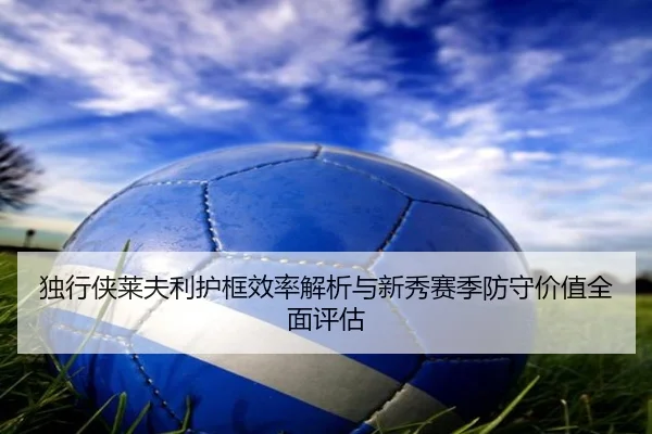 独行侠莱夫利护框效率解析与新秀赛季防守价值全面评估